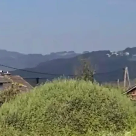 Im Gruenen Appartement